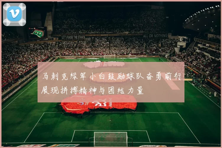 马刺克绿军小白鼓励球队奋勇前行展现拼搏精神与团结力量